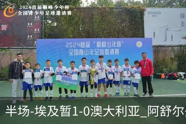 半场-埃及暂1-0澳大利亚 阿舒尔头球破门哈菲兹助攻沃尔帕托中框